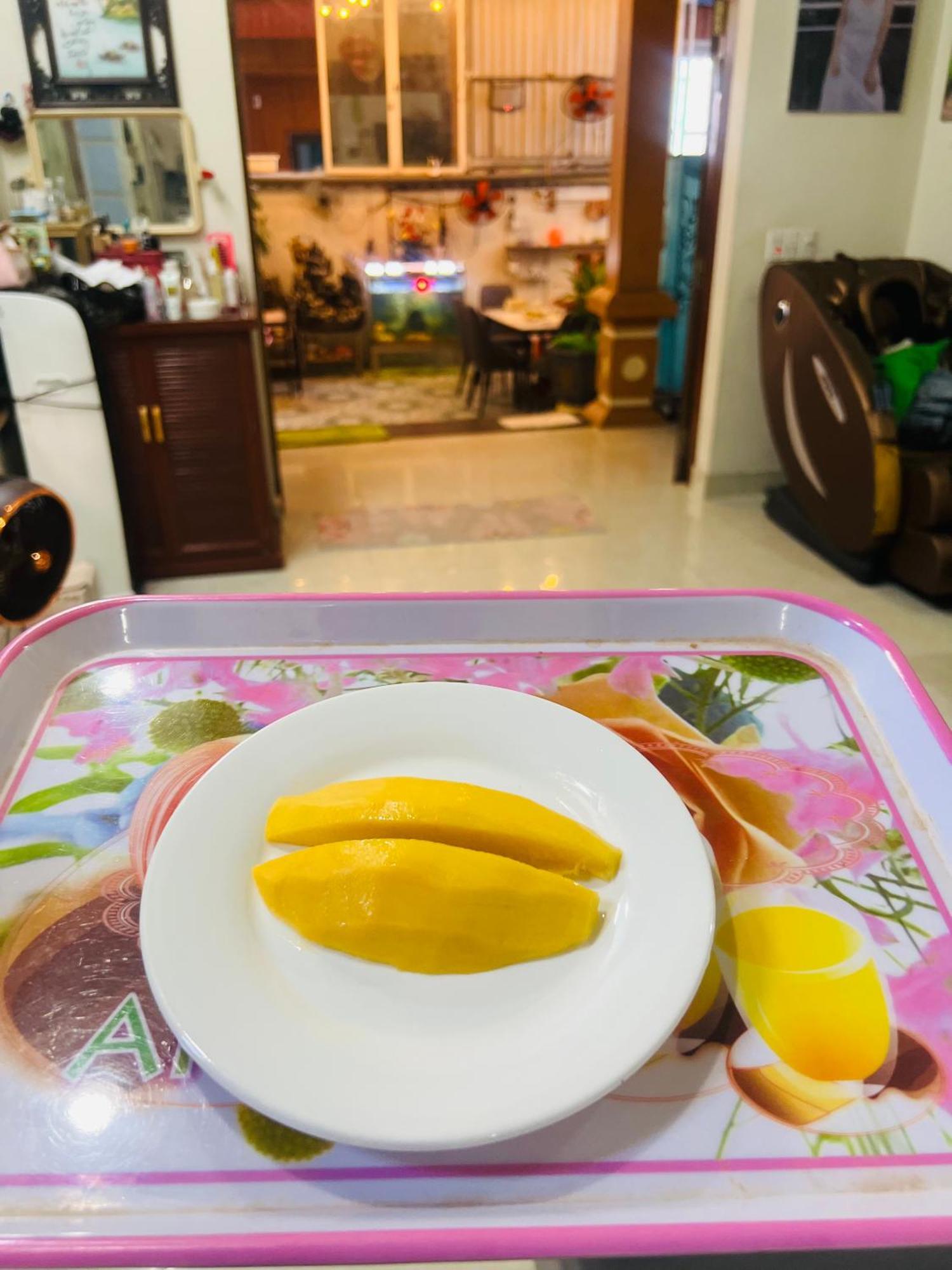 Cat Ba Mystery Homestay Dong Khe Sau Ngoại thất bức ảnh